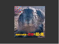 桌面虚拟机器人定制